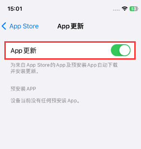 叶城苹果15维修中心如何让iPhone15APP自动更新